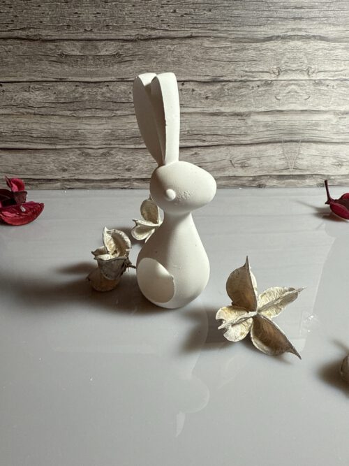 Hase