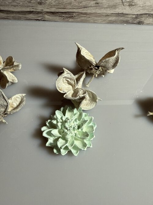 Blume