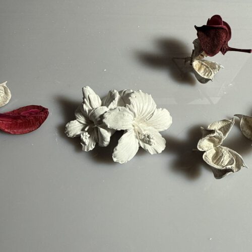 Blume