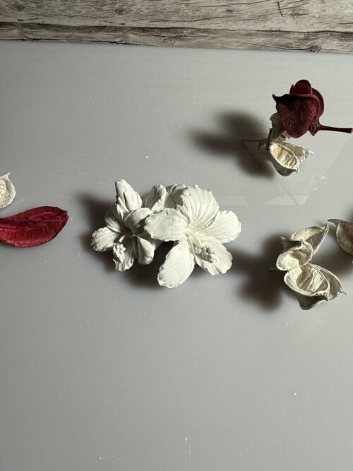 Blume