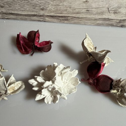 Blume