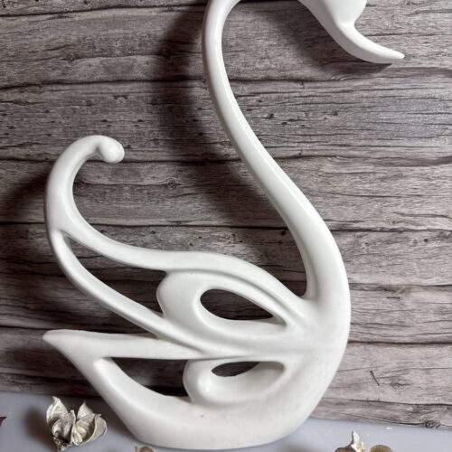 Schwan groß