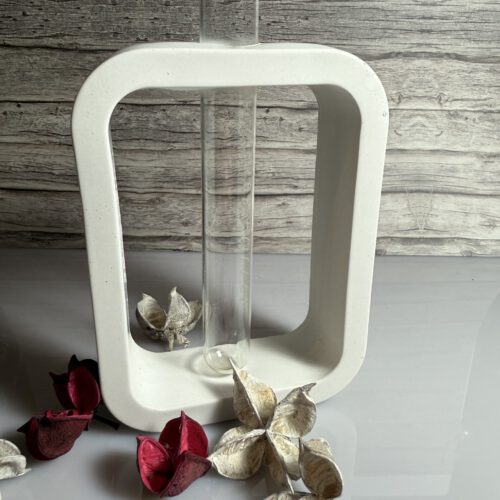 Vase mit Reagenzglas
