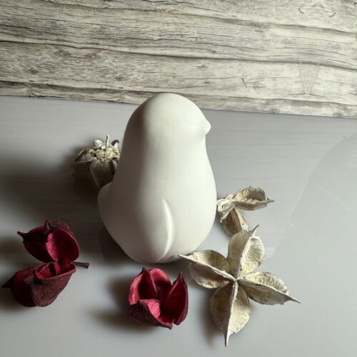 Pinguin klein