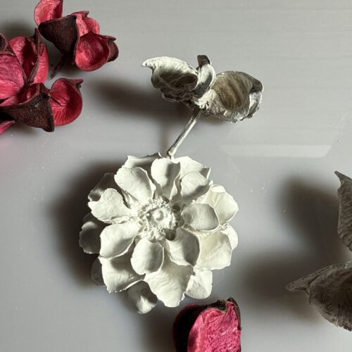Blume