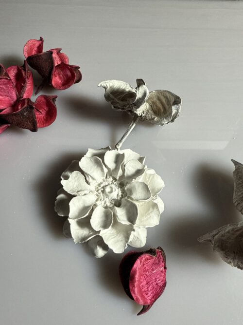 Blume