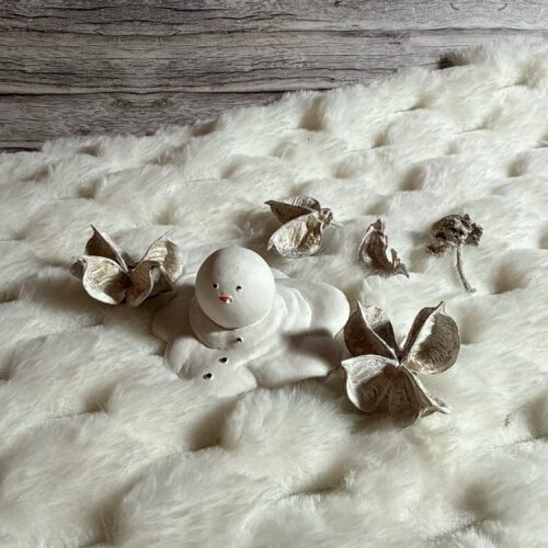 Schneemann geschmolzen