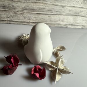 Pinguin klein